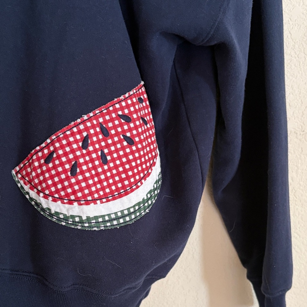 Hollister navy hoodie with fruit applications on back.